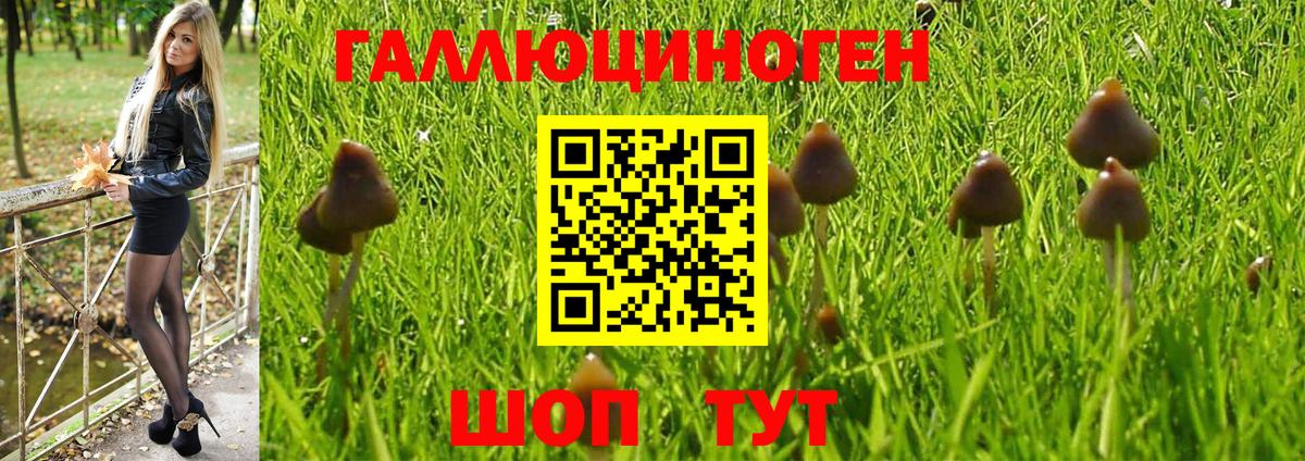 Псилоцибиновые грибы GOLDEN TEACHER Новоуральск